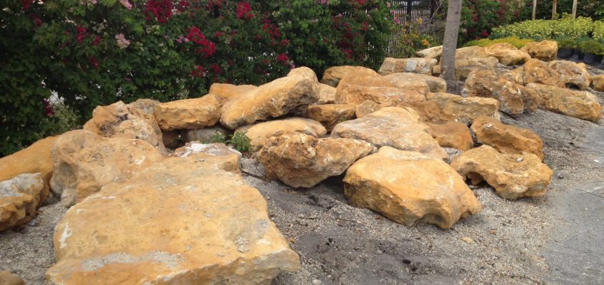 ROCKS