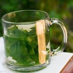 Steep basil leaves in hot water