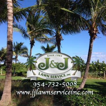 J&J Lawn Service, Inc for all of your lawn service and landscaping needs.