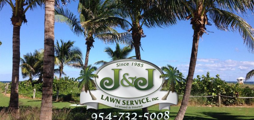 J&J Lawn Service, Inc for all of your lawn service and landscaping needs.