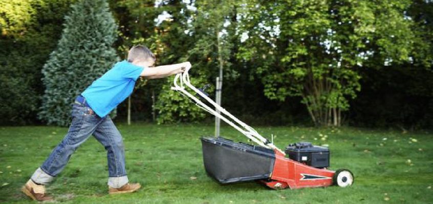 Back to school lawn care