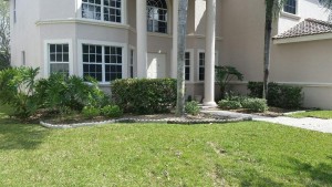 Before landscape curb appeal