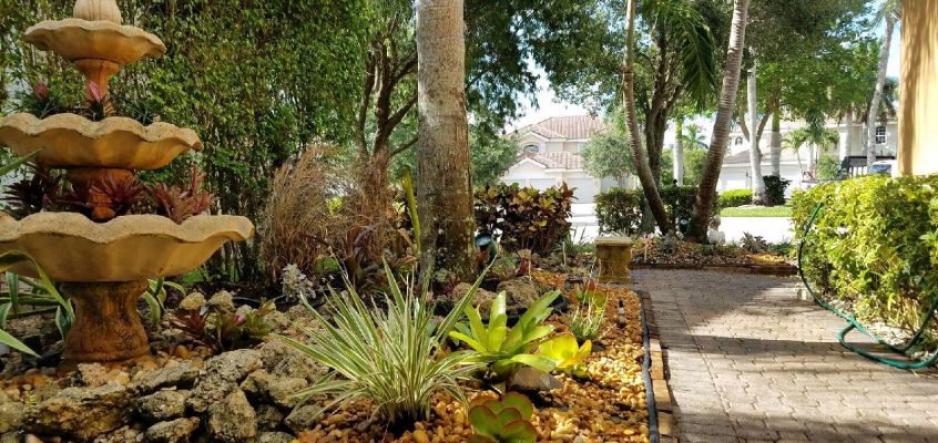 Before and After Landscaping in Coral Springs