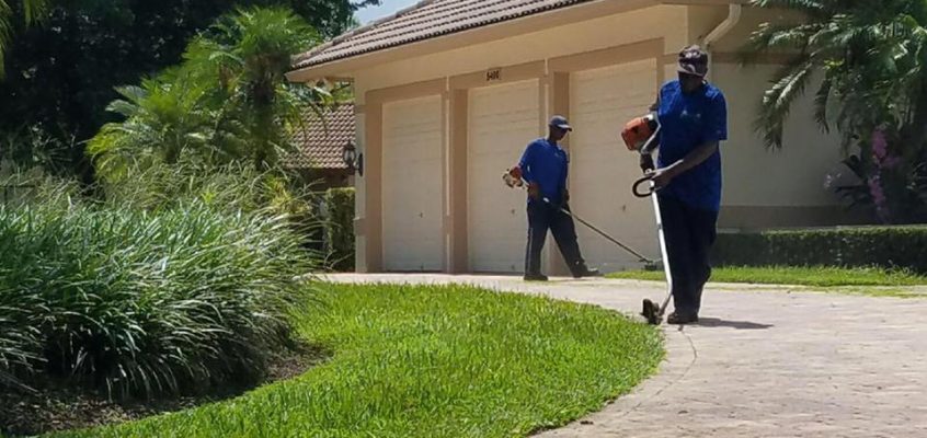 Did you know J&J Lawn Service Inc, provides commercial lawn care?