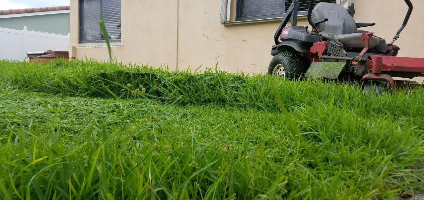 Now! Is the best time to fertilize.
