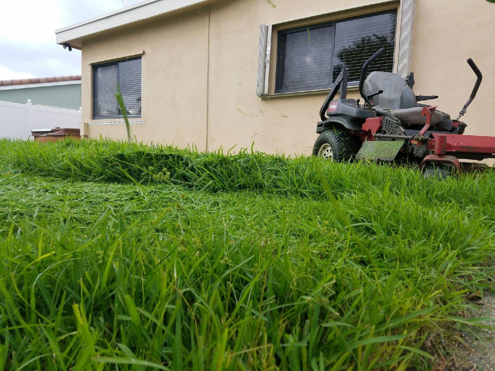 Now! Is the best time to fertilize.
