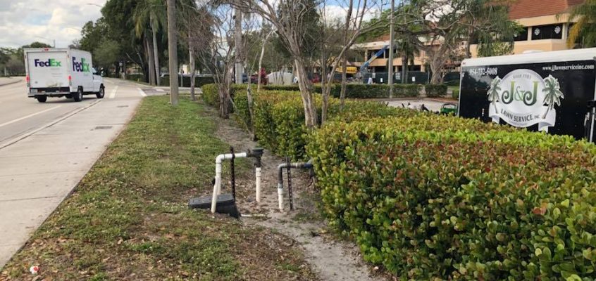 Lack of rainfall causes brown crunchy grass