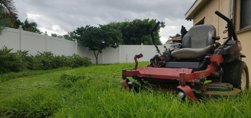 Is the grass greener?