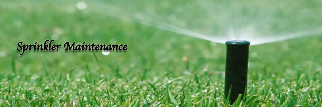 Lawn Care Tip:  Overwatering….Turn off your sprinklers!