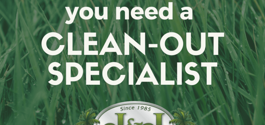 Landscape Property Clean-out specialist